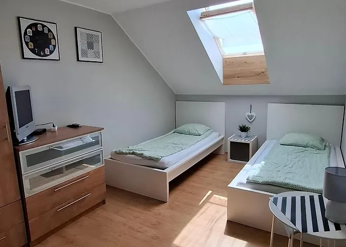 Kapitan Hook - Goscinne